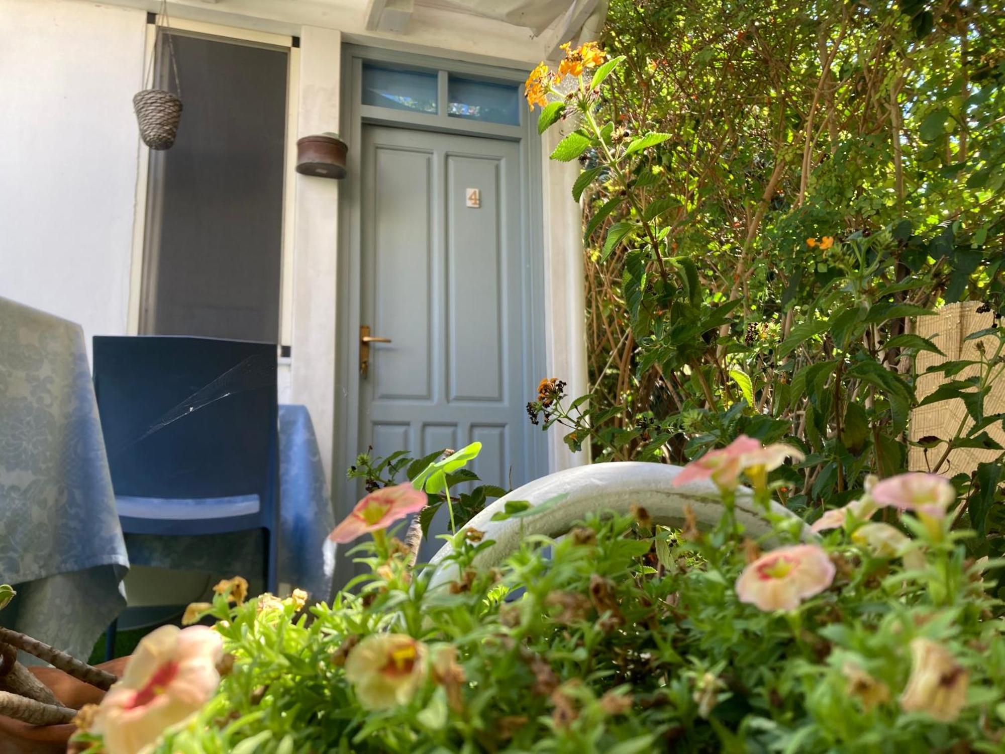 B&B Xenia Mongiove Eksteriør bilde